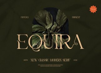 Equira || Modern Classy Serif Font preview image 1