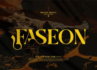Faseon || Modern Classy Serif Font preview image 1