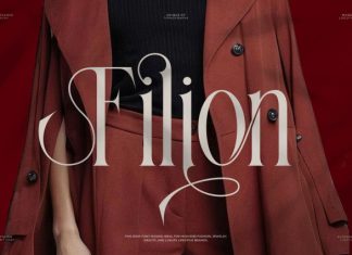 Filion || Elegant Classy Serif Font preview image 1