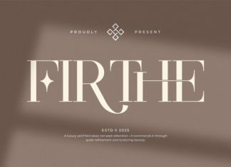 Firthe || Modern Classy Serif Font preview image 1