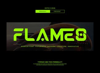 Flames || Modern Futuristic display Font preview image 1