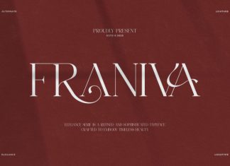 Franiva || Modern Elegant Serif Font preview image 1