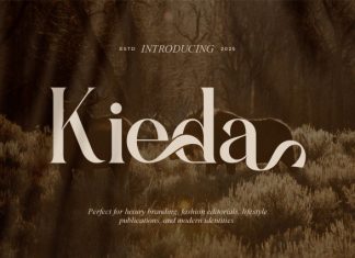 Kieda || Modern Classy Serif Font preview image 1