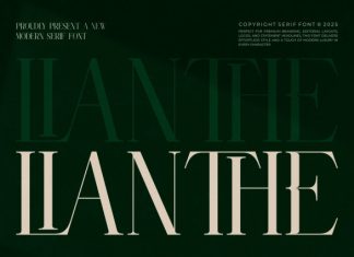 Lianthe || Elegant Classy Serif Font preview image 1