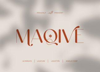 Maqive || Modern Minimalist Sans Serif Font preview image 1