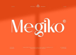 Megiko || Modern Minimalist Sans Serif Font preview image 1