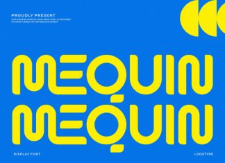 Mequin || Modern Decorative Display Font preview image 1