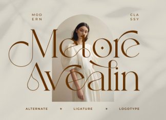 Metore Avealin || Modern Minimalist Serif Font preview image 1