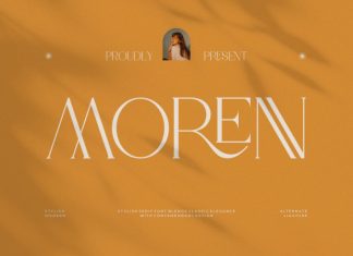 Morenn || Modern Classy Serif Font preview image 1