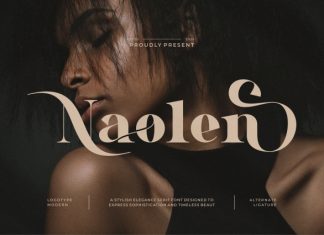 Naolen || Modern Elegant Serif Font preview image 1