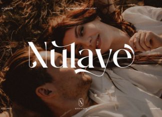 Nulaye || Modern Classy Serif Font preview image 1
