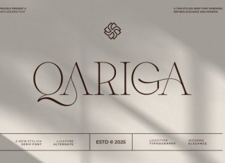 Qariga || Simple Minimalist Serif Font preview image 1