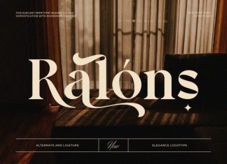 Ralons || Modern Classy Serif Font preview image 1