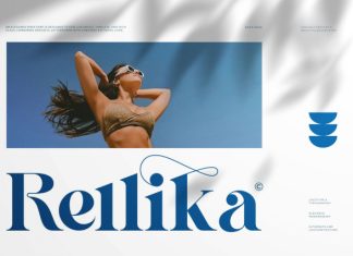 Rellika || Modern Classy Srerif Font preview image 1