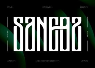 Saneoz || Modern Condensed Display Font preview image 1