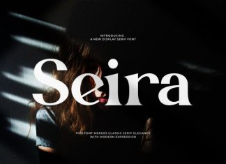 Seira || Modern Elegant Serif Font preview image 1