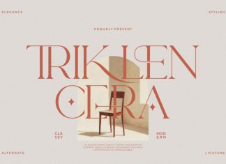 Triklen Care || Modern Vintage Serif Font preview image 1