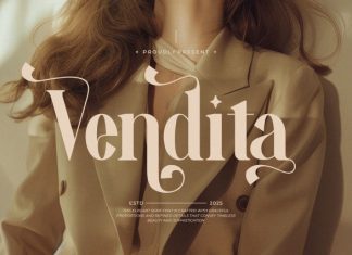 Vendita || Modern Elegant Serif Font preview image 1