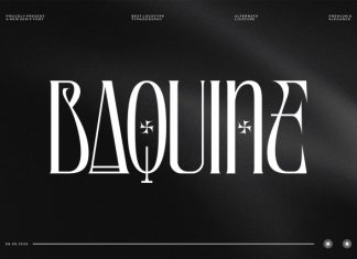Baquine || Classy Serif Display Font preview image 1