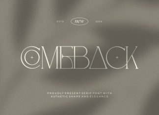 Comeback || Modern Classy Serif Font preview image 1