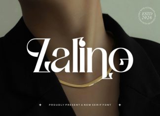 Zalino || Modern Classy Serif Font preview image 1