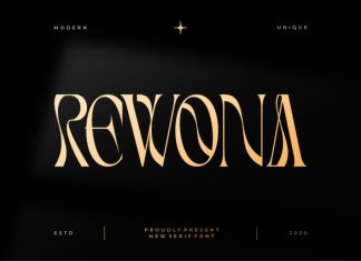 Rewona || Modern Elegant Serif Font preview image 1