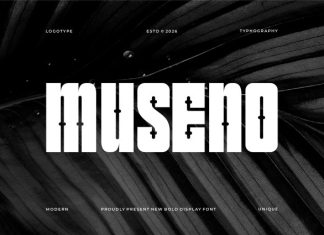 Museno || Thick and Powerful Display Font preview image 1