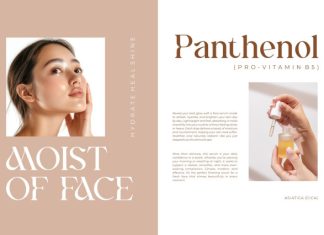 Anlira || Moder Classy Serif Font preview image 2