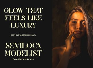 Basera || Modern Classy Serif Font preview image 2