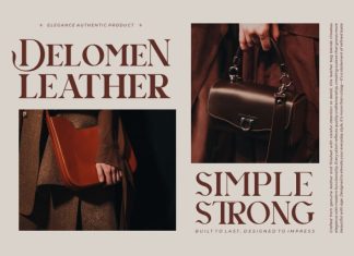Birveli || Modern Classy Serif Font preview image 2