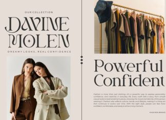 Brilega Fadone || Modern Classy Serif Font preview image 2