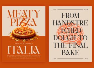 Ectros || Modern Retro Serif Font preview image 2