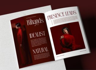 Filion || Elegant Classy Serif Font preview image 2