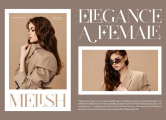 Firthe || Modern Classy Serif Font preview image 2