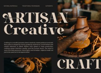 Naolen || Modern Elegant Serif Font preview image 2