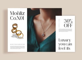 Nulaye || Modern Classy Serif Font preview image 2