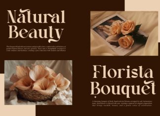 Ralons || Modern Classy Serif Font preview image 2