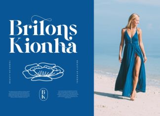 Rellika || Modern Classy Srerif Font preview image 2