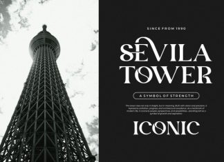 Seira || Modern Elegant Serif Font preview image 2