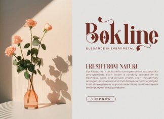 Vendita || Modern Elegant Serif Font preview image 2
