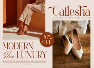 Welorac || Modern Classy Serif Font preview image 2