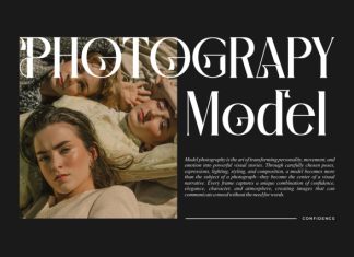 Zalino || Modern Classy Serif Font preview image 2
