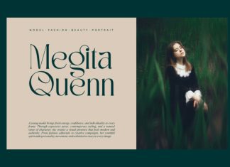 Bafegis || Elegant Serif Typeface Font preview image 2