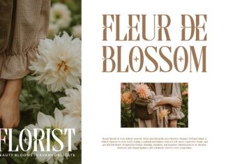 Dezonne || Modern Elegant Serif Font preview image 2