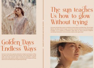 Auleriz || Modern Elegant Serif Font preview image 3