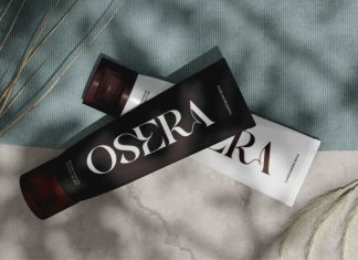 Basera || Modern Classy Serif Font preview image 3