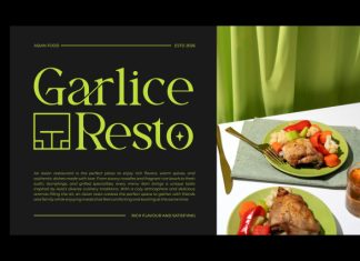 Brilega Fadone || Modern Classy Serif Font preview image 3