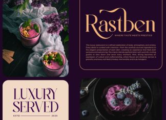 Bryevs || Elegant Classy Serif Font preview image 3