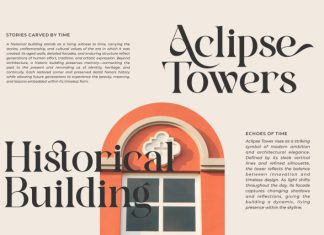 Ectros || Modern Retro Serif Font preview image 3