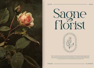 Equira || Modern Classy Serif Font preview image 3